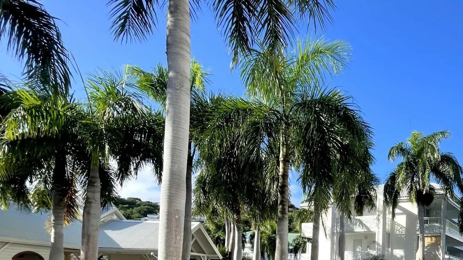 Studio A Anse Marcel Avec Air Conditionne Et Parking - Fr-1-734-52 Marigot